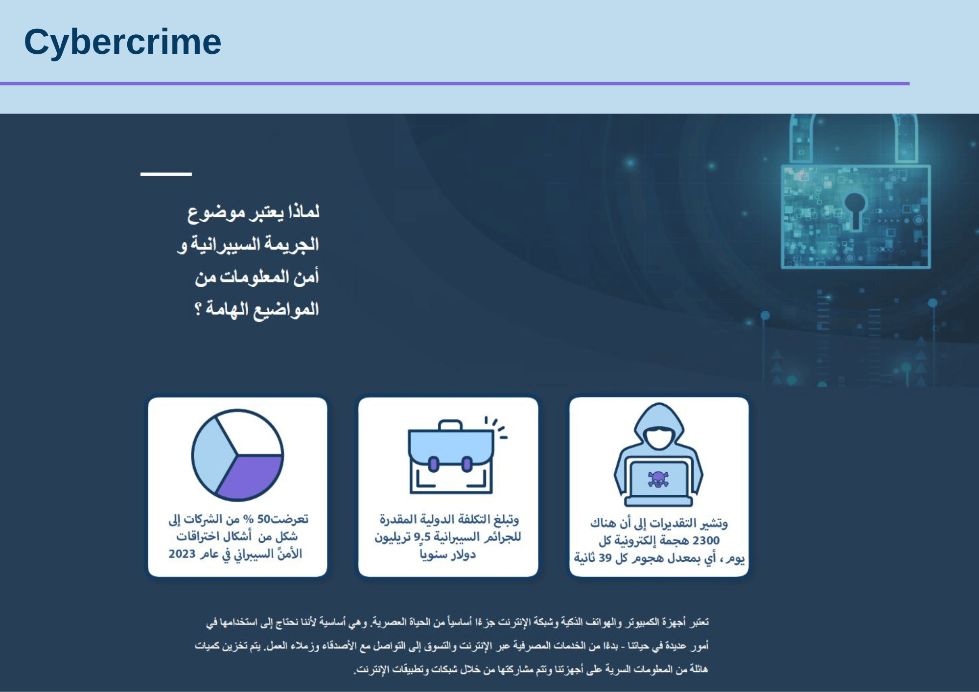 Cybercrime Arabic (2)